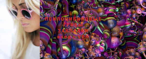 трава Верхний Тагил