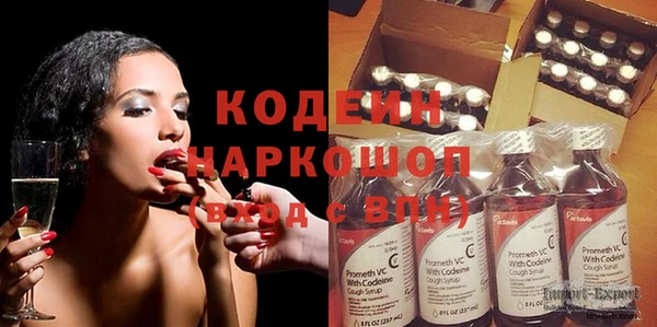 прущие грибы Слюдянка