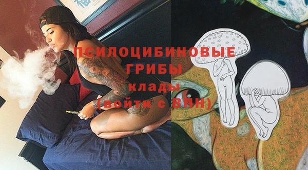 трава Верхний Тагил